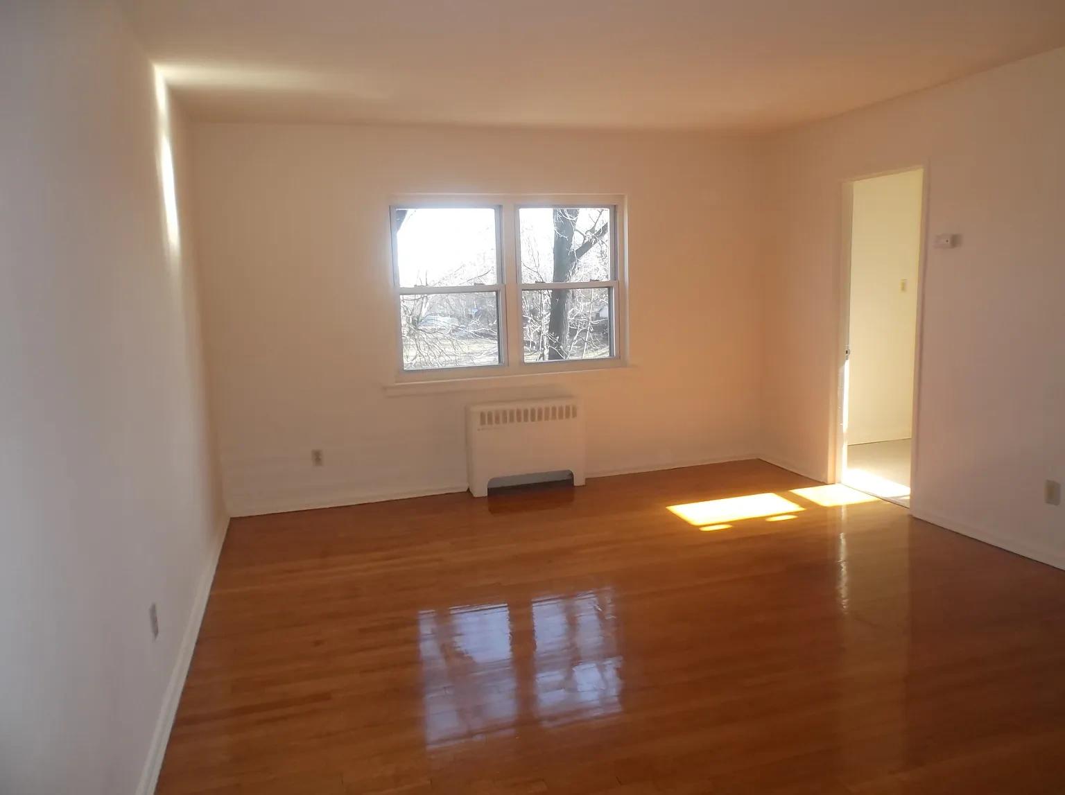 817 Chancellor Ave, Irvington – photo 5