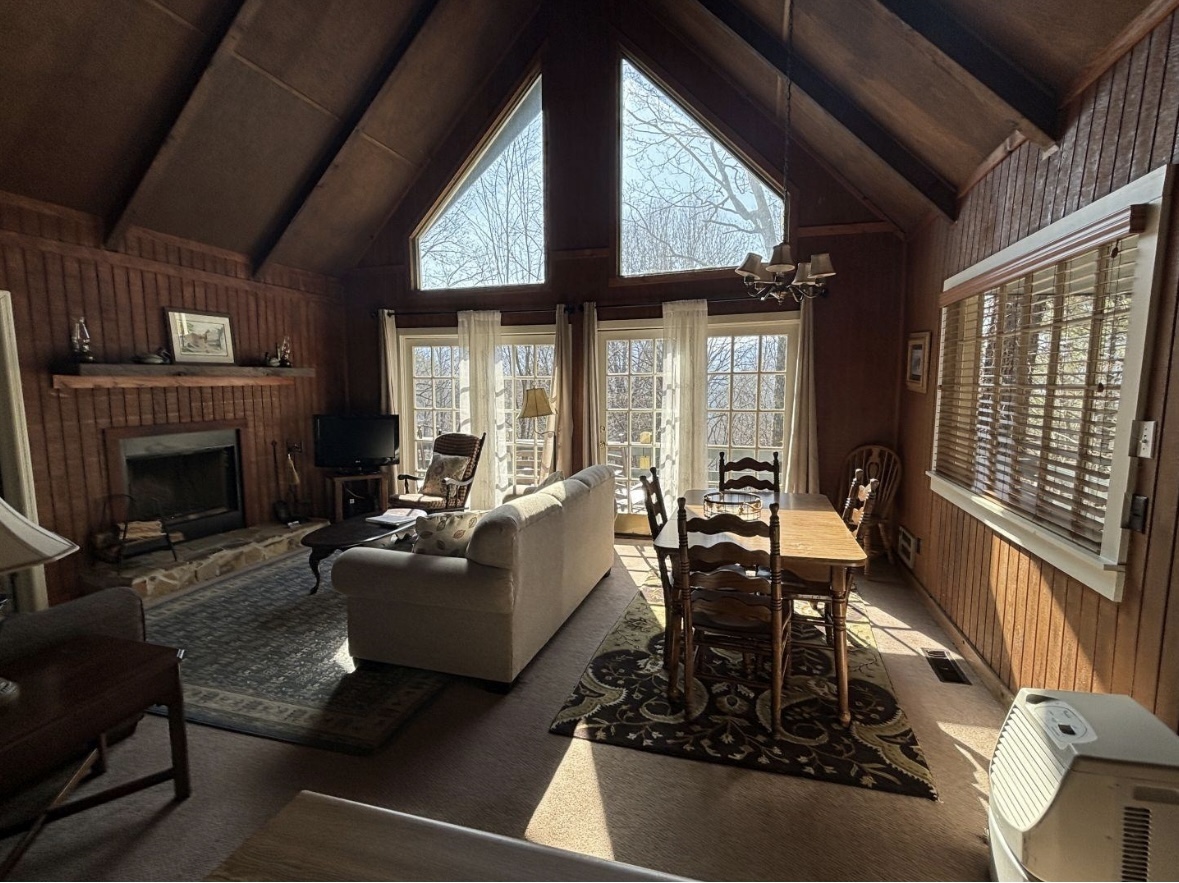 490 Chalet Village Dr – photo 2