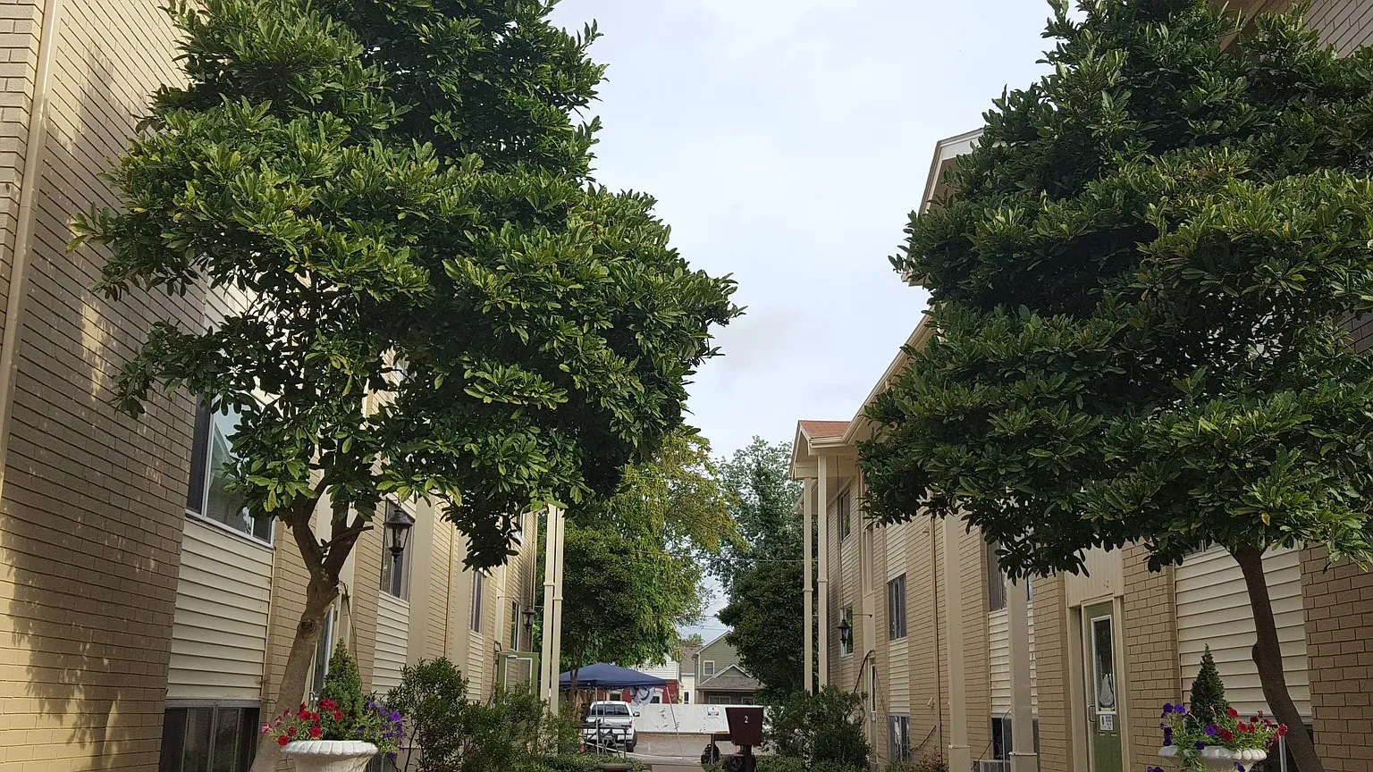 Elm Grove Apartments – photo 2