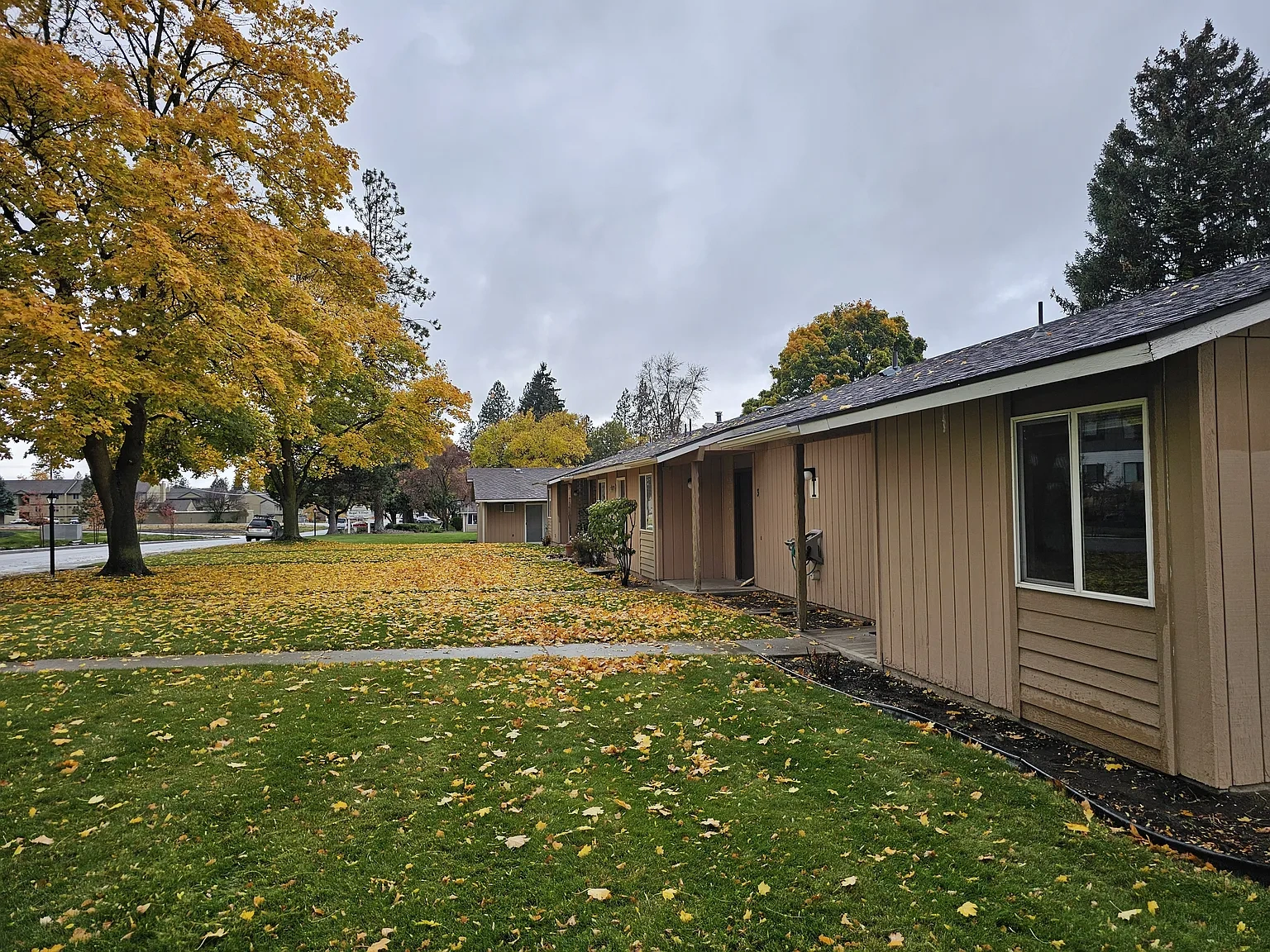 Regal Village – photo 1