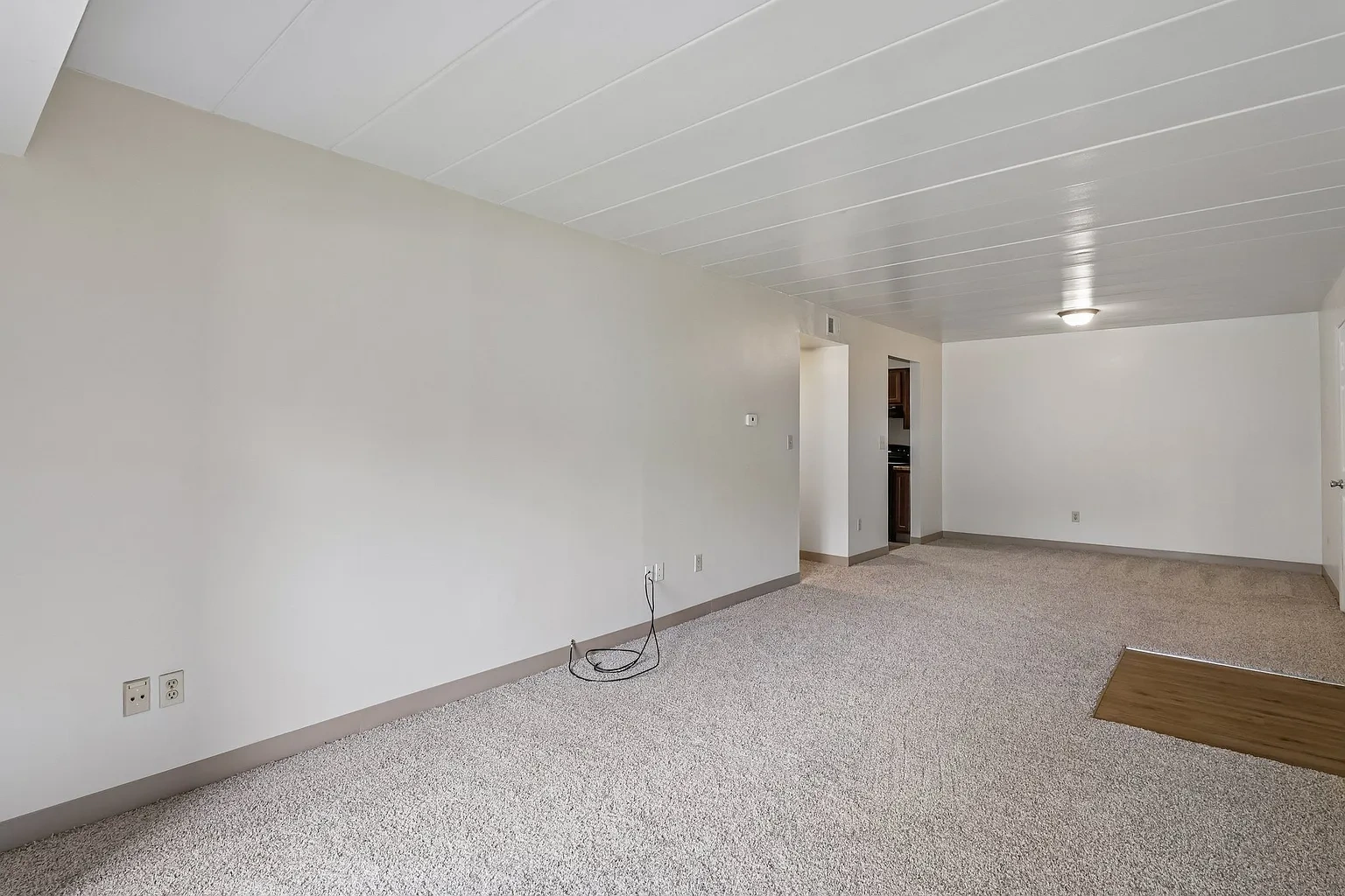 Forest Apartments – photo 5