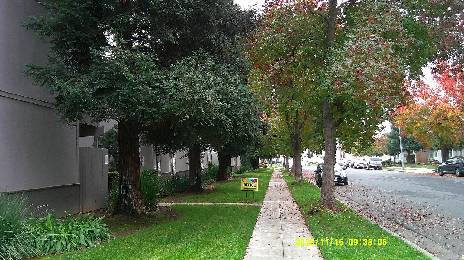 Lindsay Apartments – photo 5