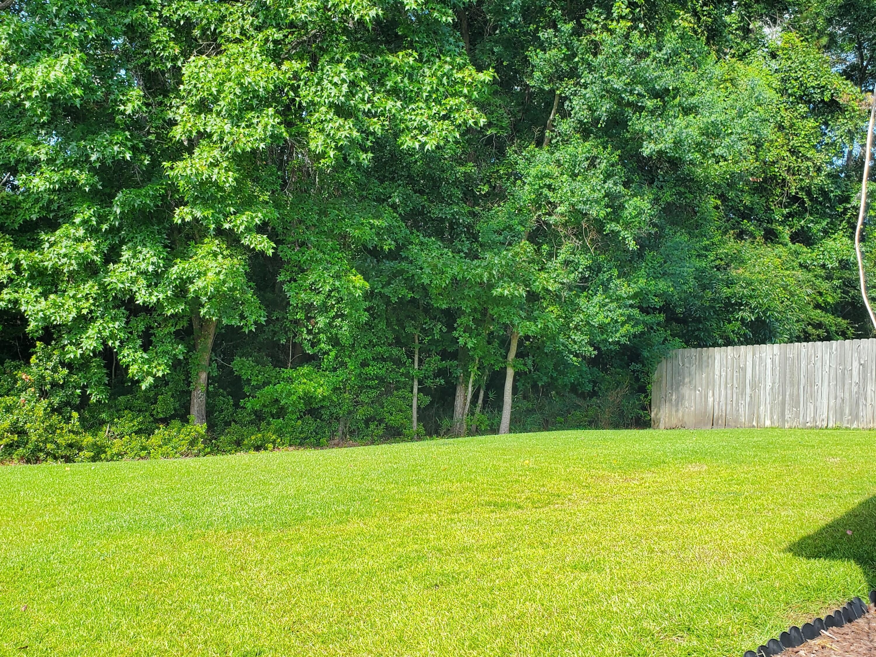 103 Salem Creek Dr – photo 4