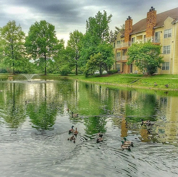 Winchester Place Apartments – photo 3