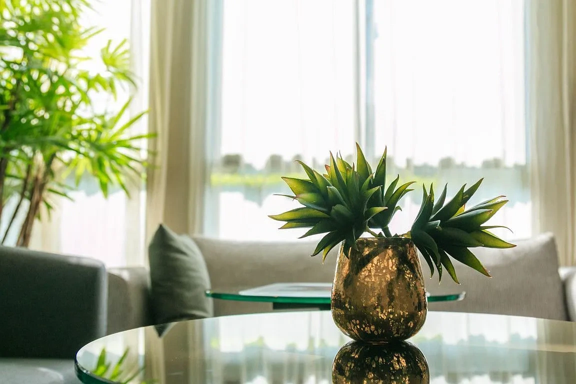 Bonita Terrace – photo 2