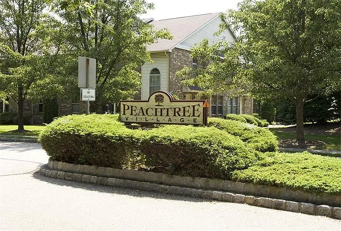 Peachtree Village – photo 2