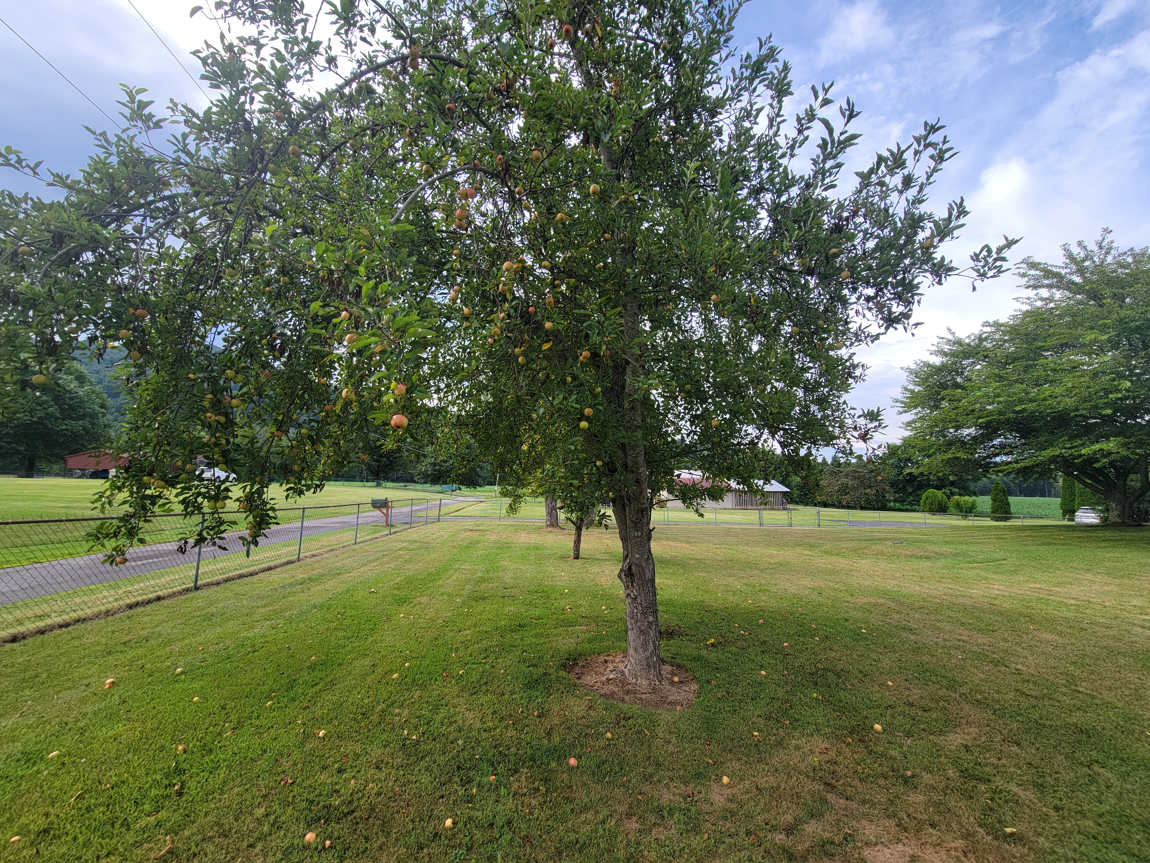 100 Shannondoah Dr – photo 5