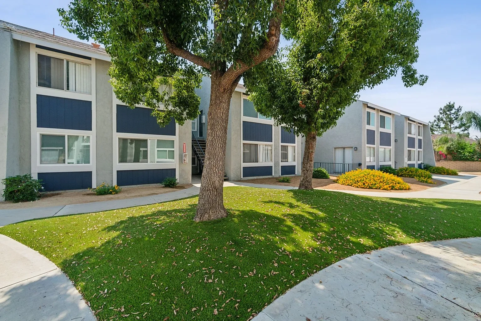 Bevia Apartments – photo 3