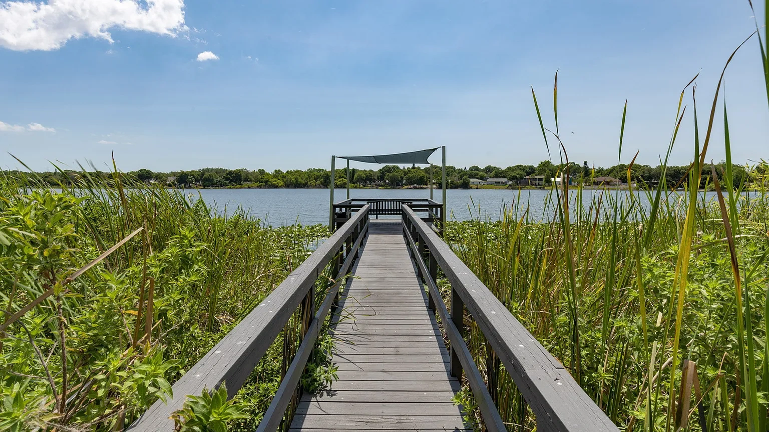 Lakeview at Palm Harbor – photo 1