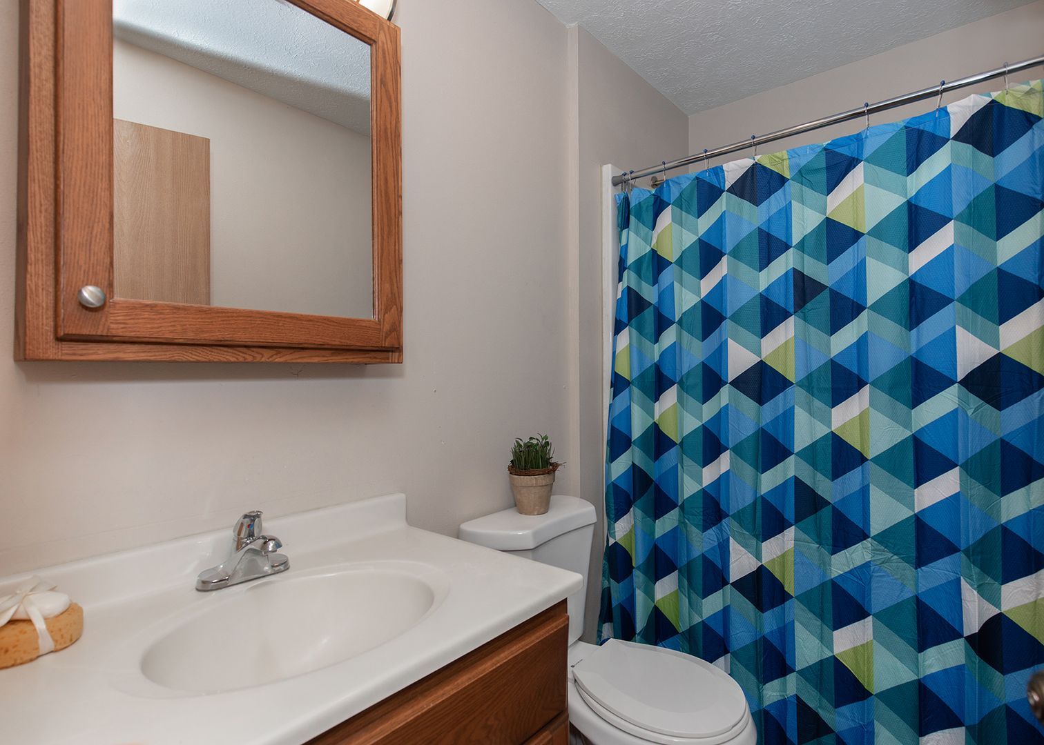 921 Pius Ln unit 921-3 – photo 5