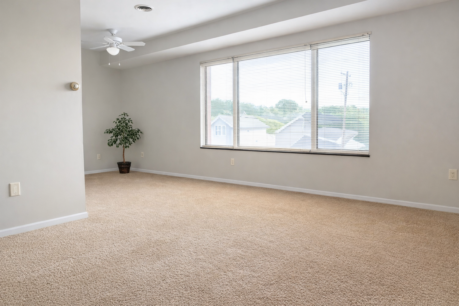 5388 Main St unit 2 – photo 2