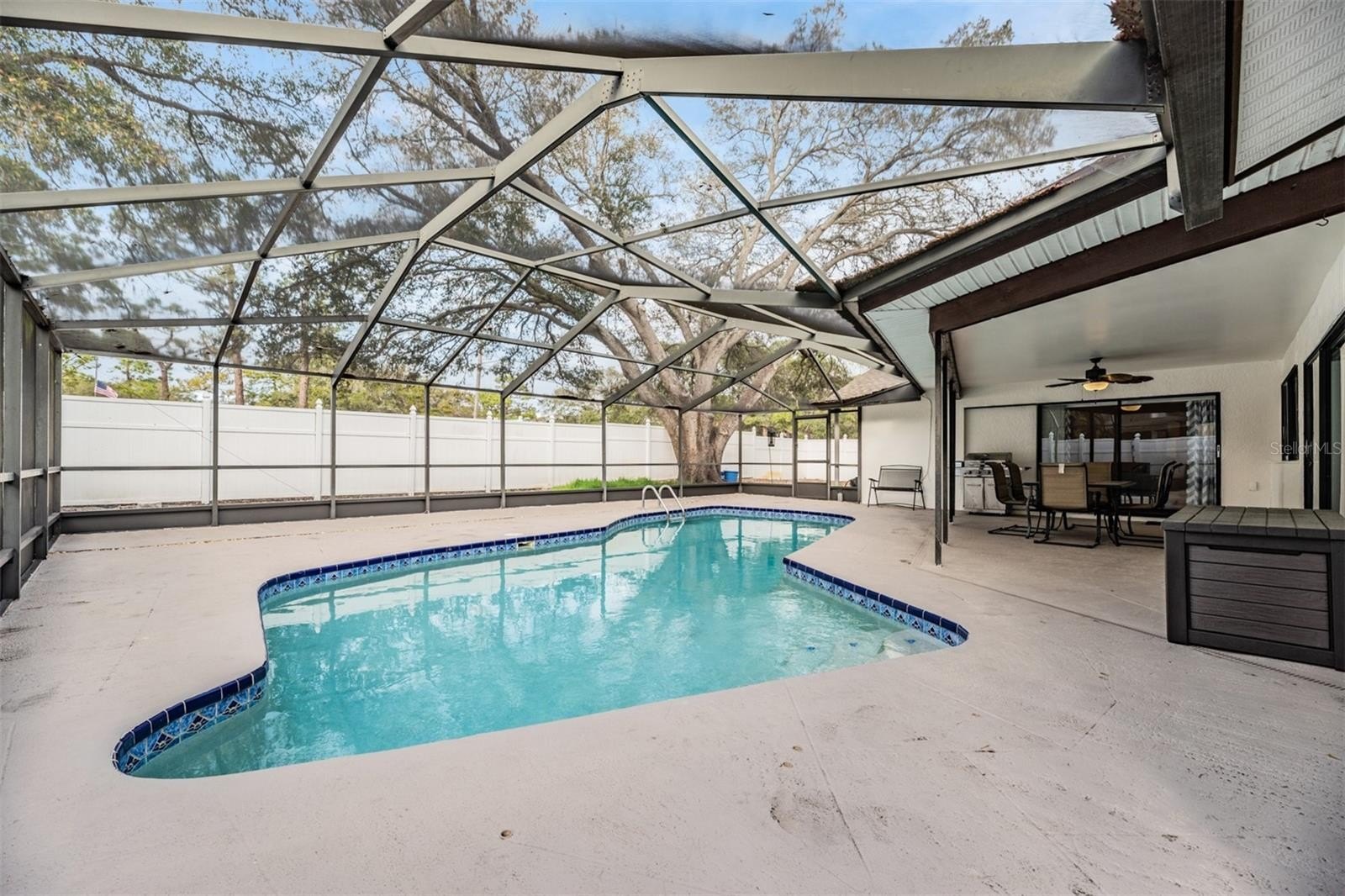 1 Fernery Ln – photo 5
