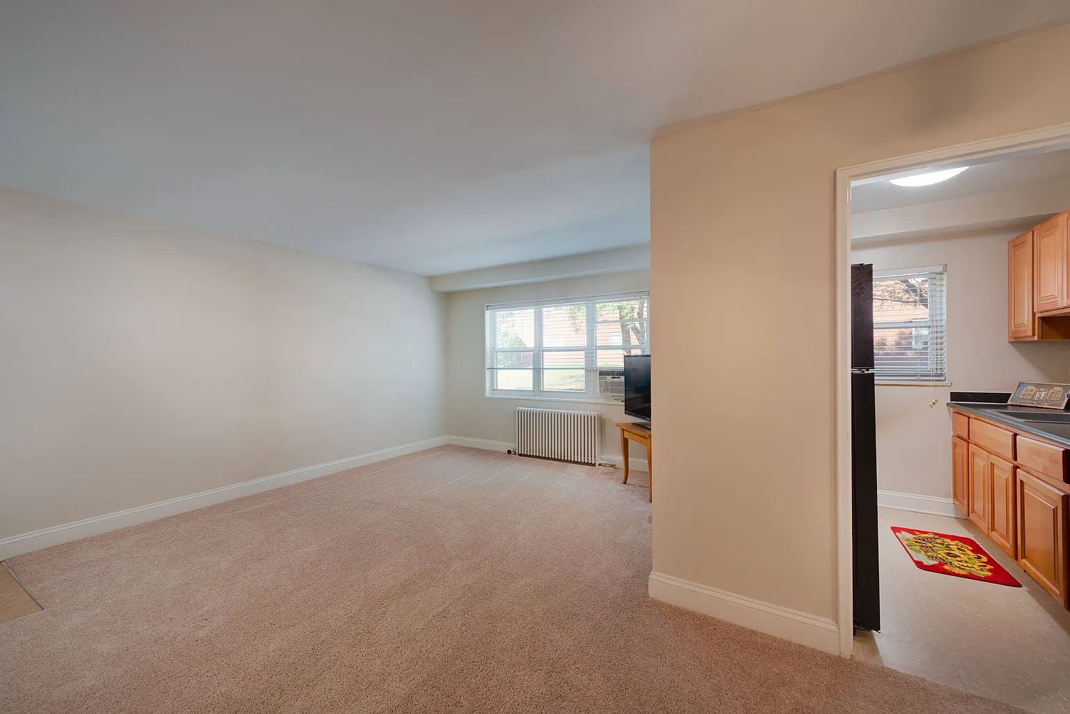 Springfield Gardens – photo 3