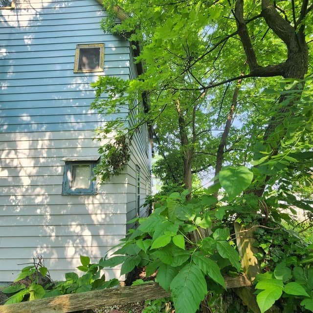 2847 E 98th St – photo 1