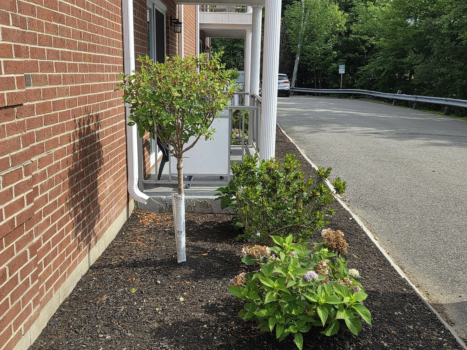 1000 Lexington Street – photo 3