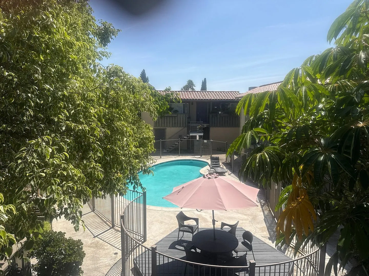 La Paloma – photo 4