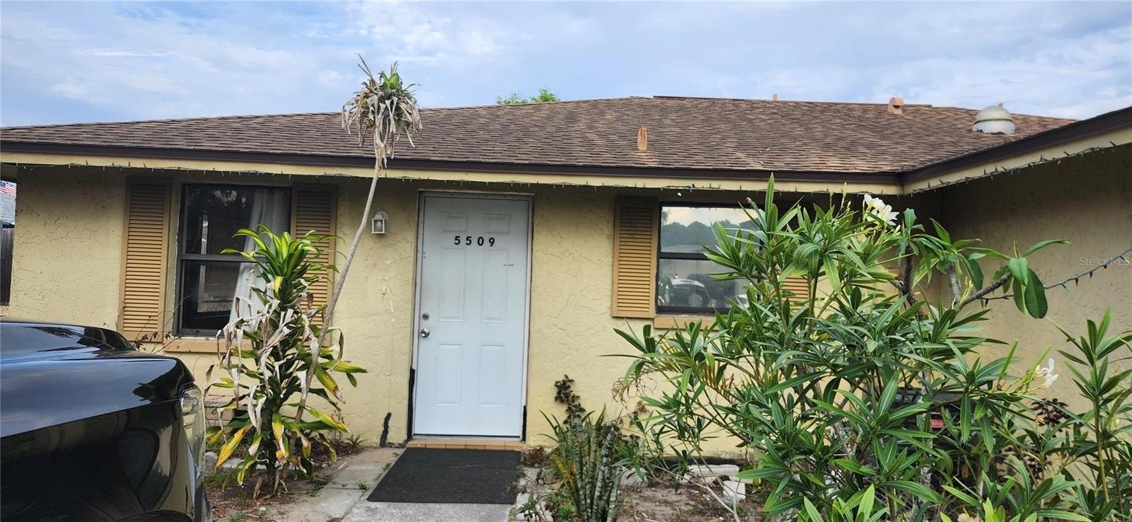 3544 Harvard Dr, Holiday – photo 1