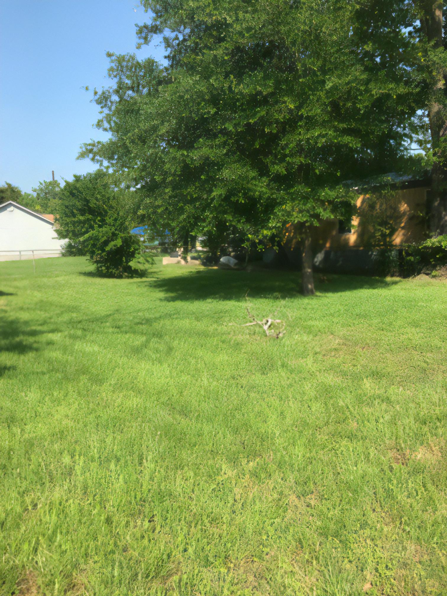1402 W Martin Luther King Jr St – photo 3