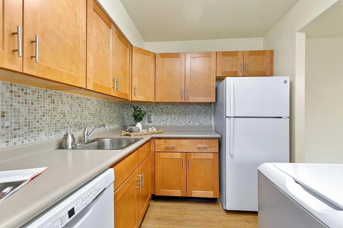 Springetts Apartments – photo 5