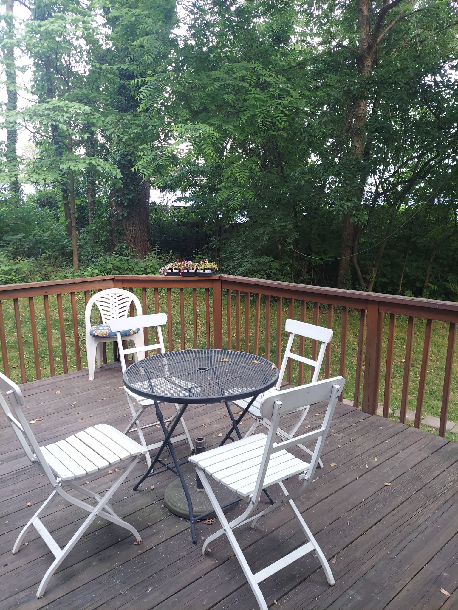9205 Linden Grove Ct – photo 3