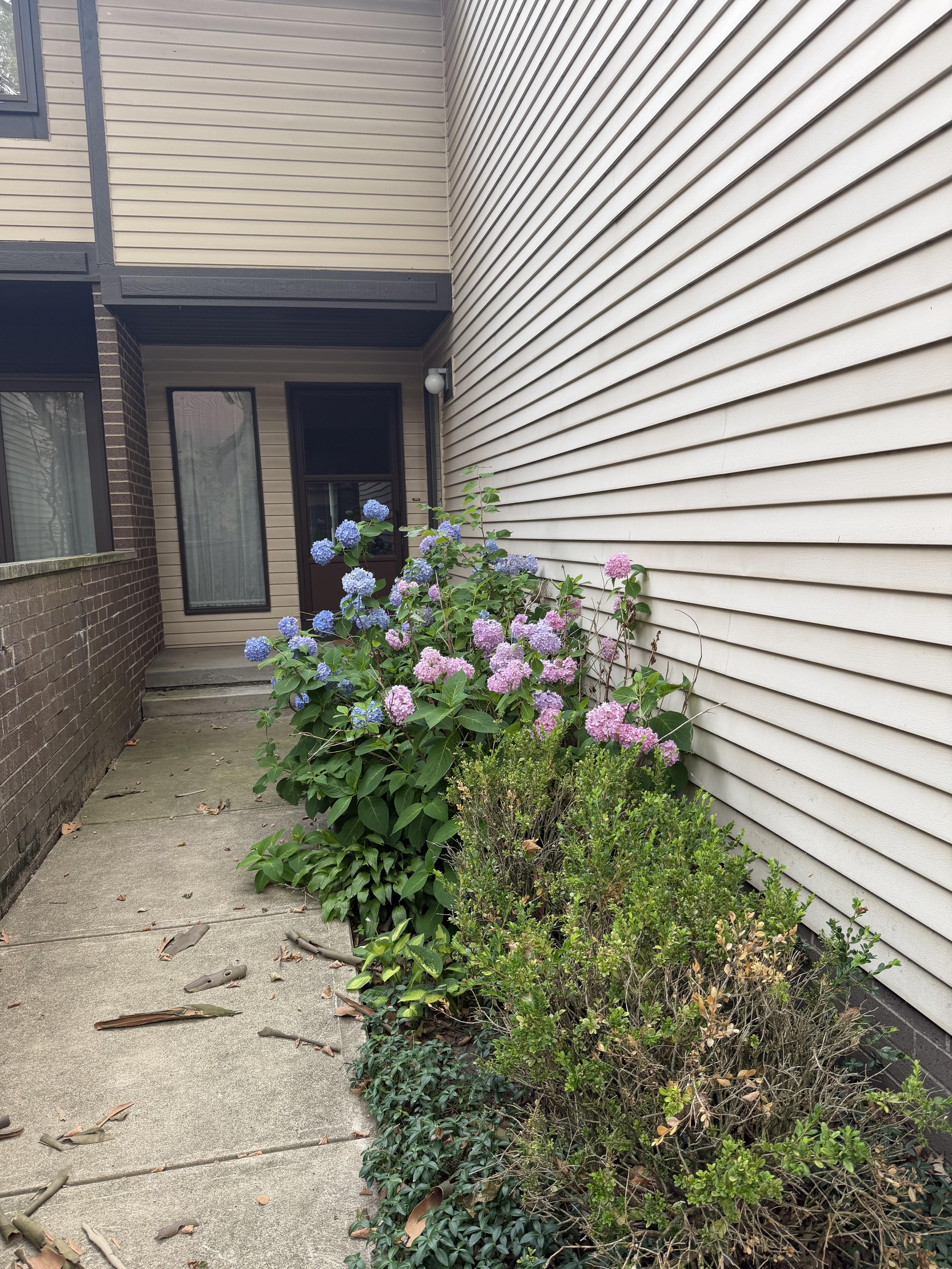 4458 Habersham Ln N unit 223 – photo 1