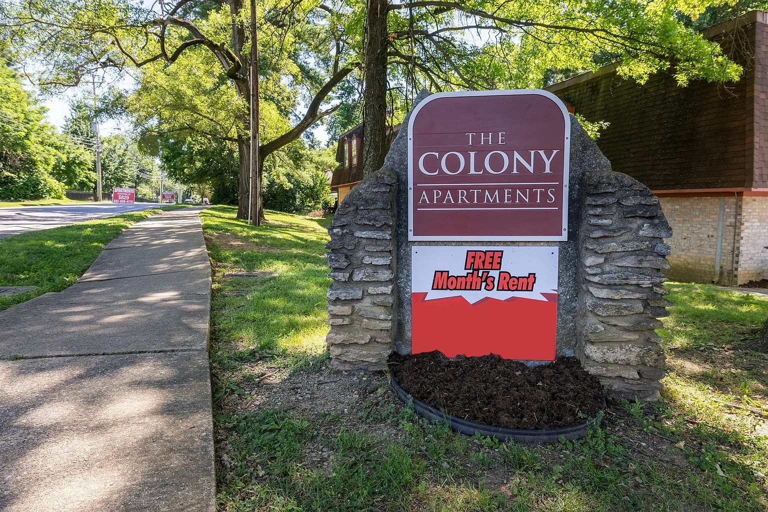 Colony – photo 3