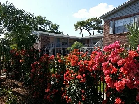 Bay Colony Apartments – photo 4