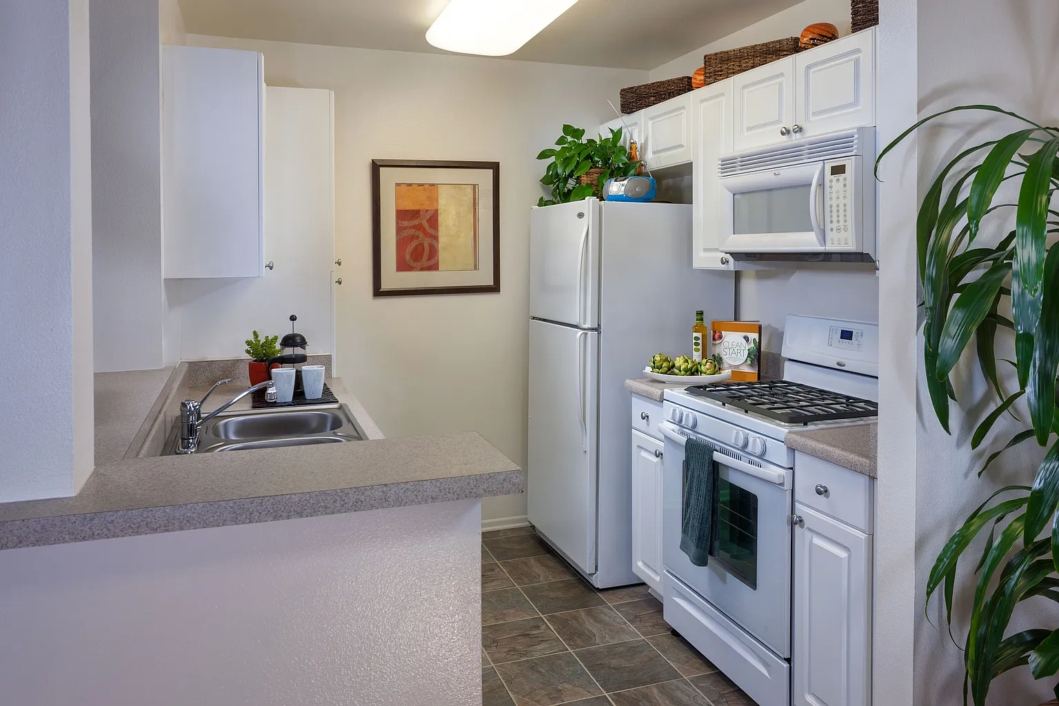 Terra Vista Apartments – photo 2