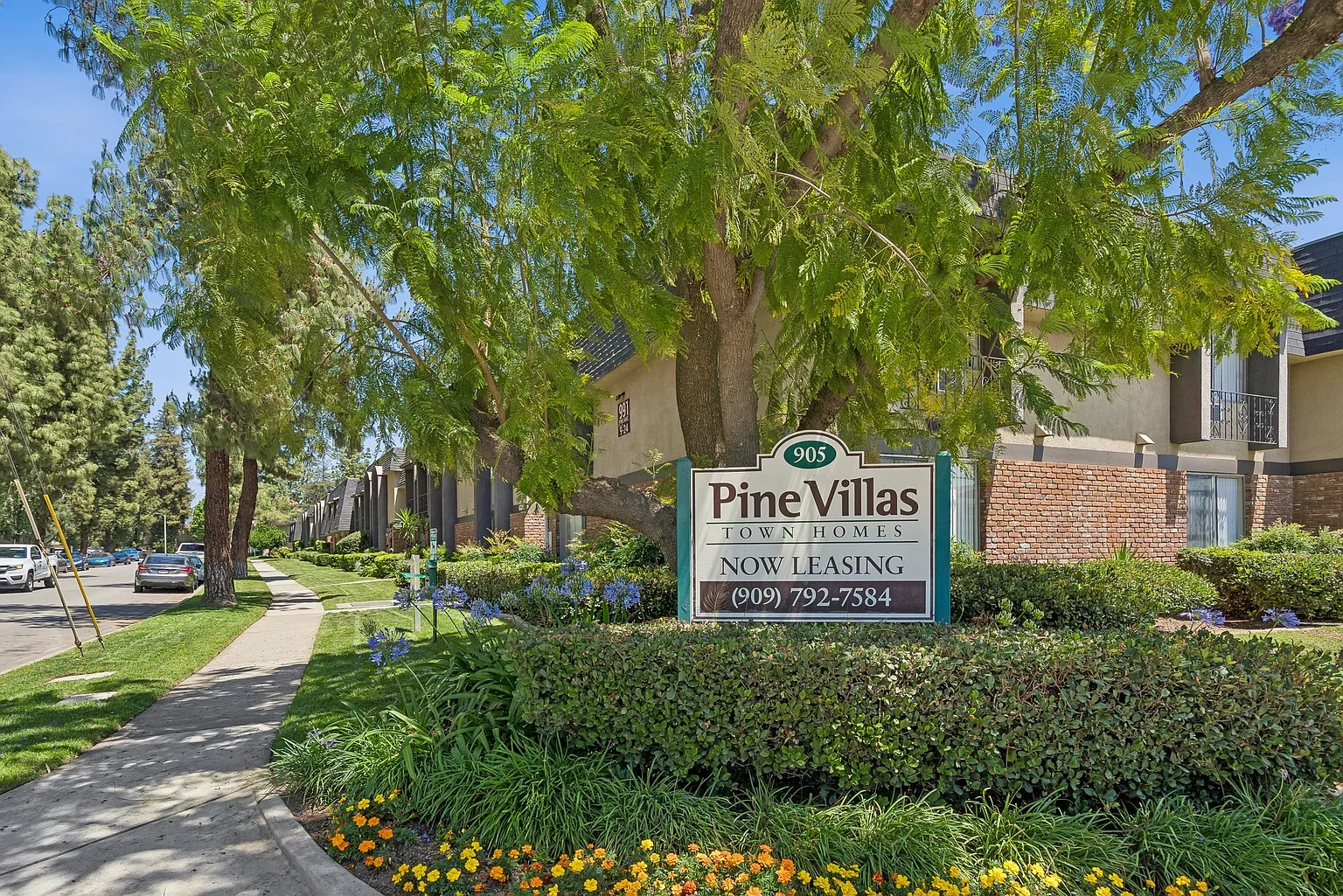 Pine Villas – photo 4