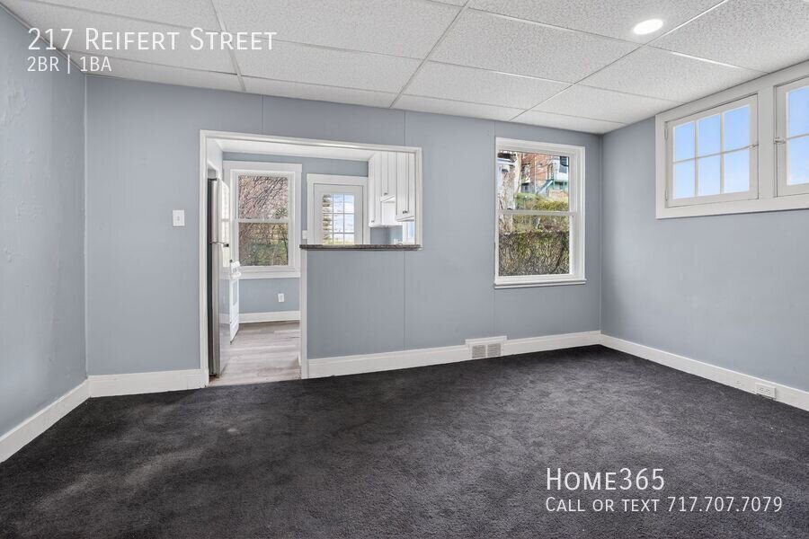 217 Reifert St – photo 5