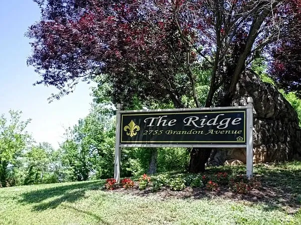 The Ridge – photo 4
