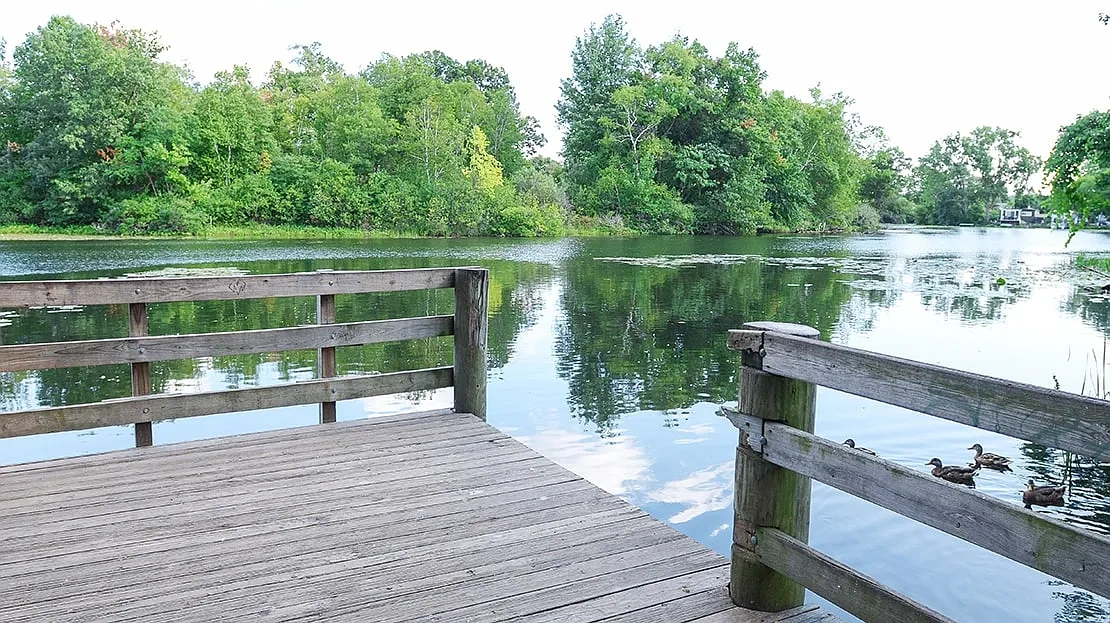 Bloomfield on the River – photo 4