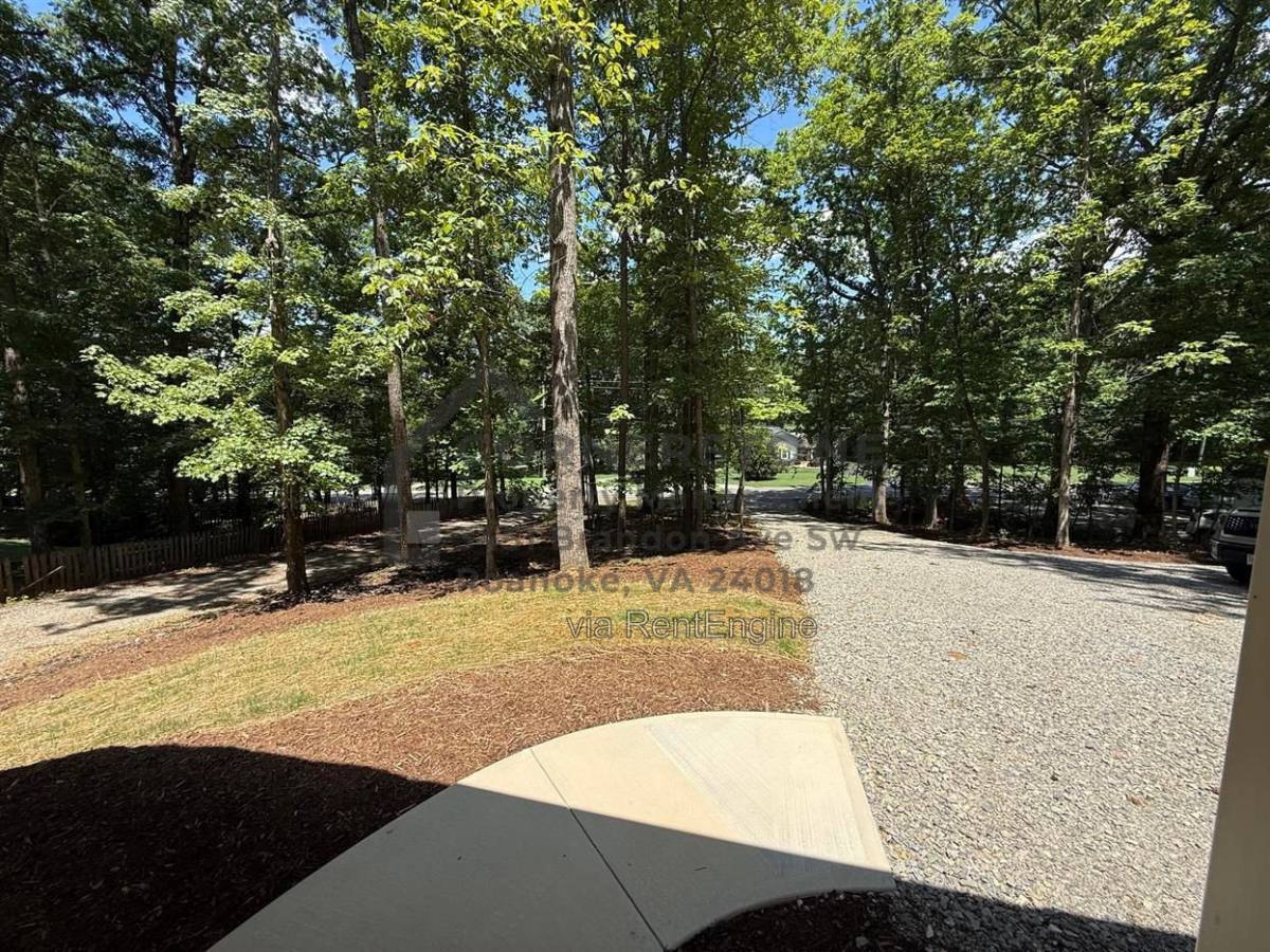 4514 Buck Mountain Rd – photo 3