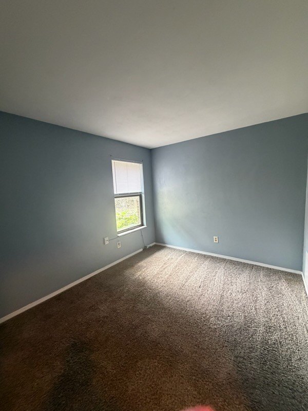 344 Madison St #344 – photo 5
