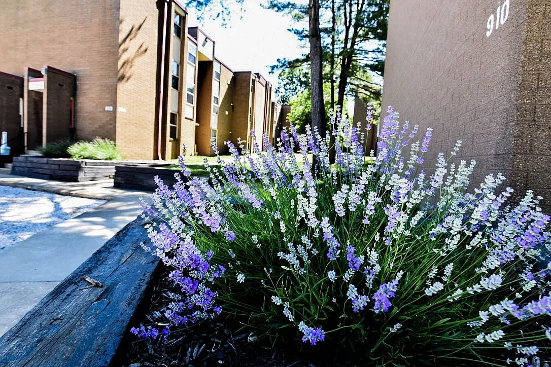 Eagles Landing Apartments – photo 1