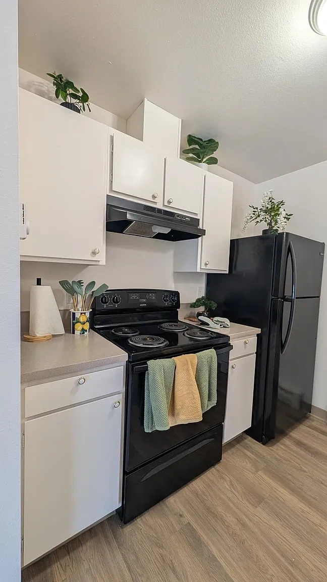 Sawyer Pointe Apartments – photo 4