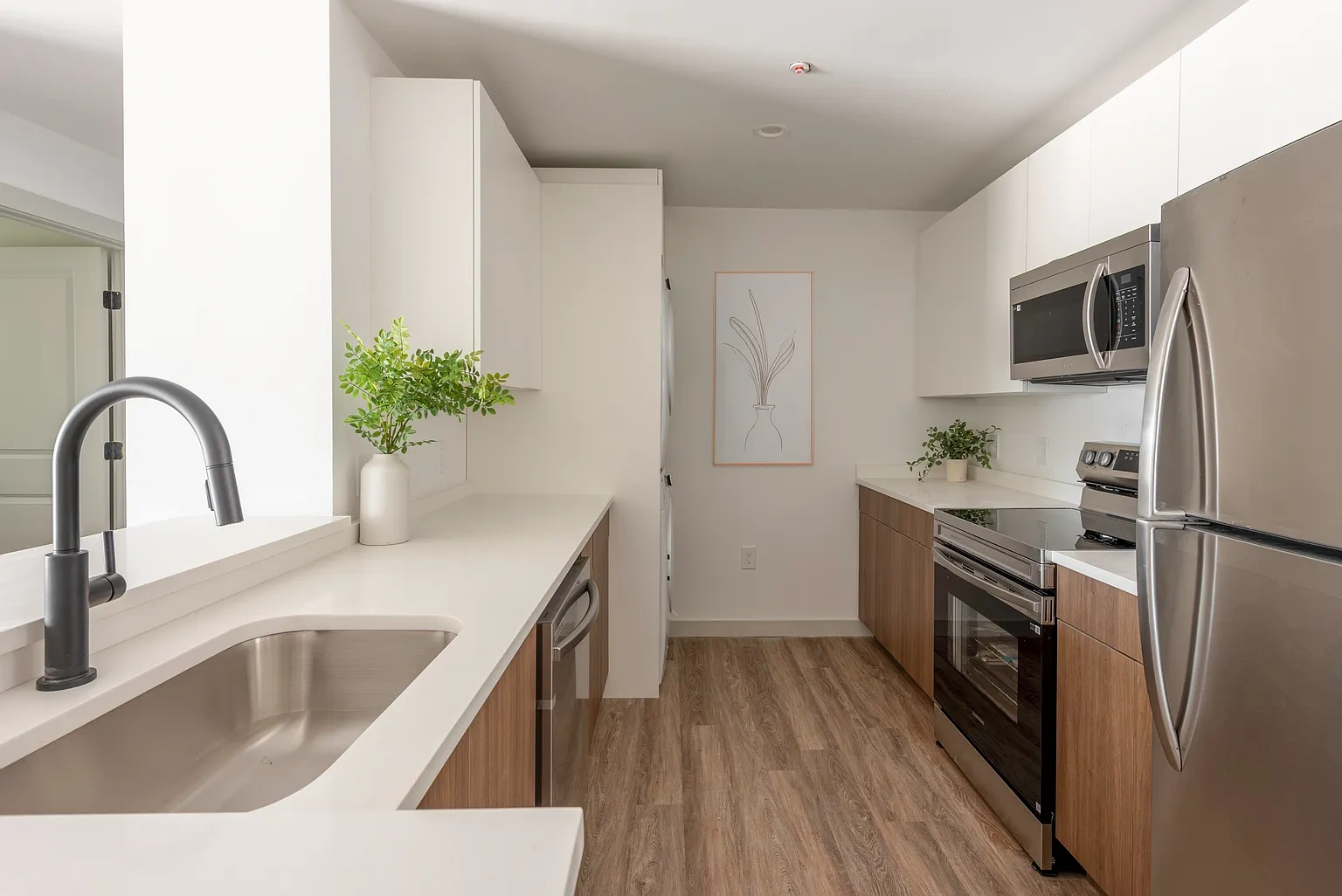 2 Bedroom Apartments in Downtown – photo 3