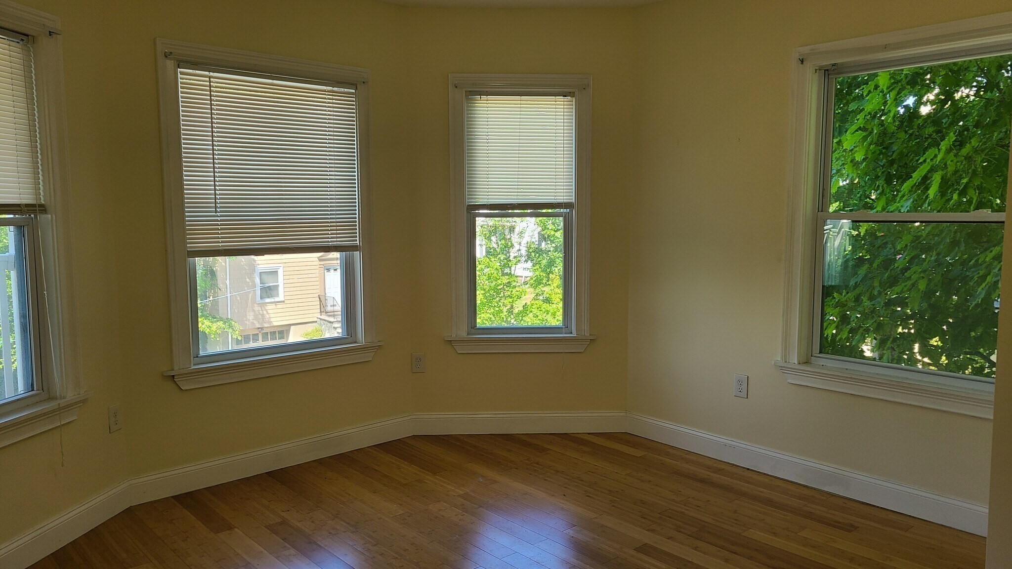 9 Alban St unit 3 – photo 3
