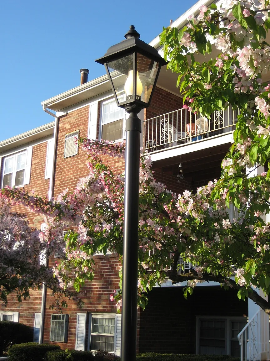 Park Hill Lane Apartments – photo 1