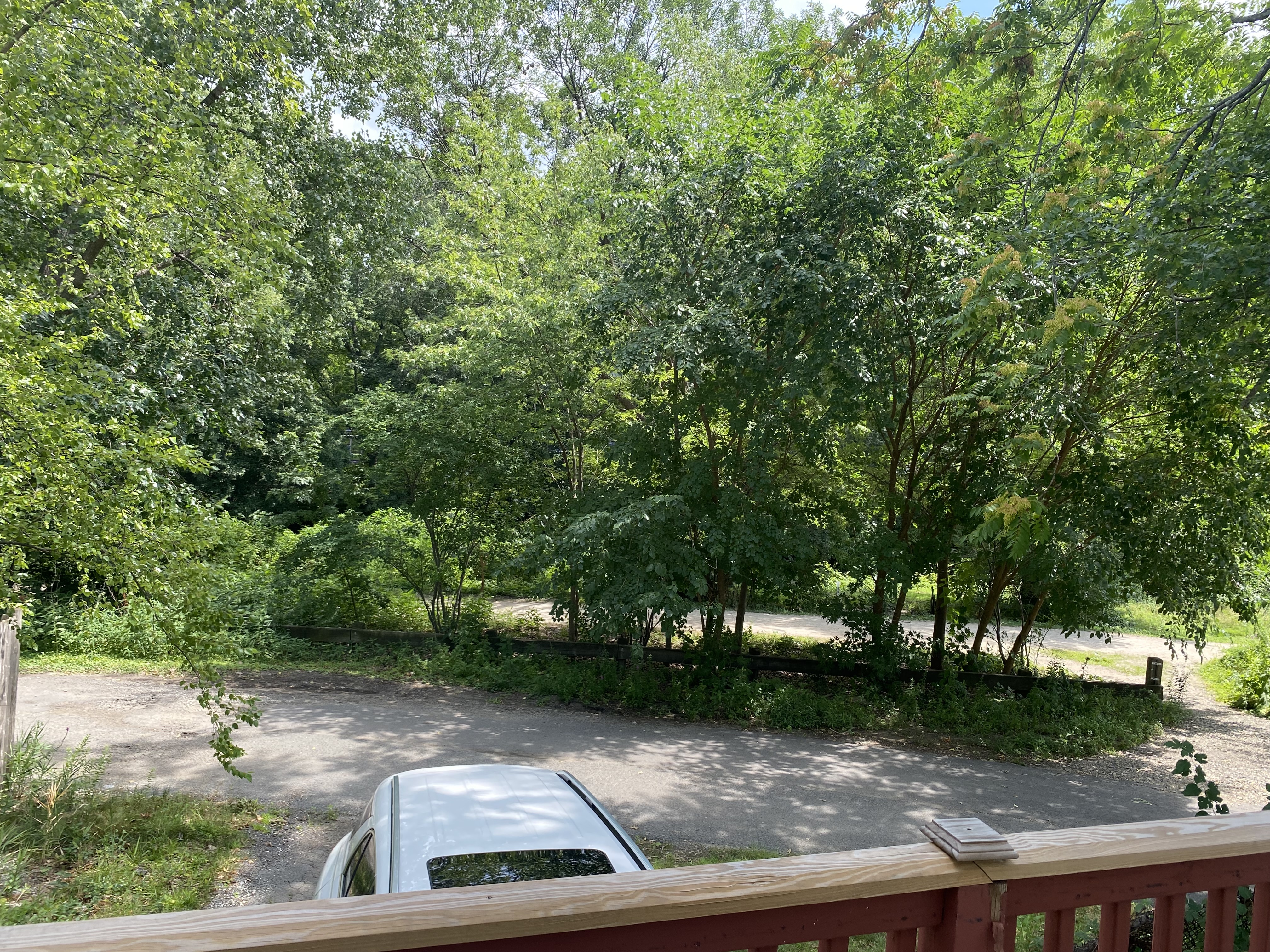 35 Sunnyside Ave – photo 1