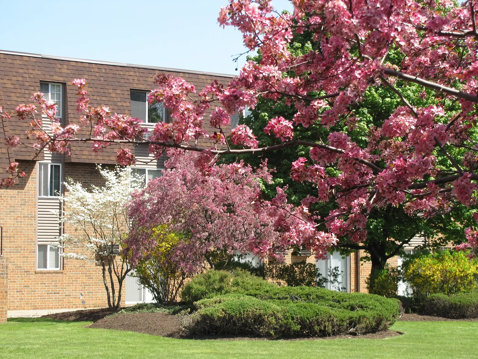 Kent Village Apartments – photo 4