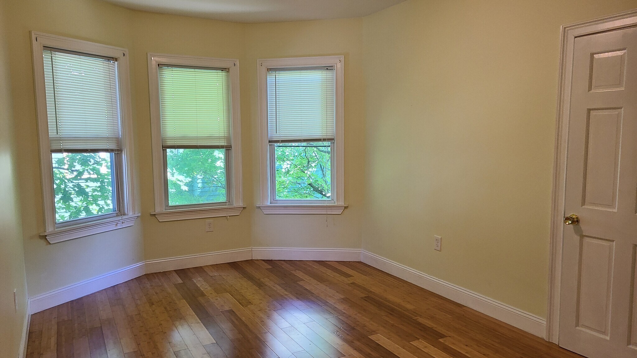 9 Alban St unit 3 – photo 4