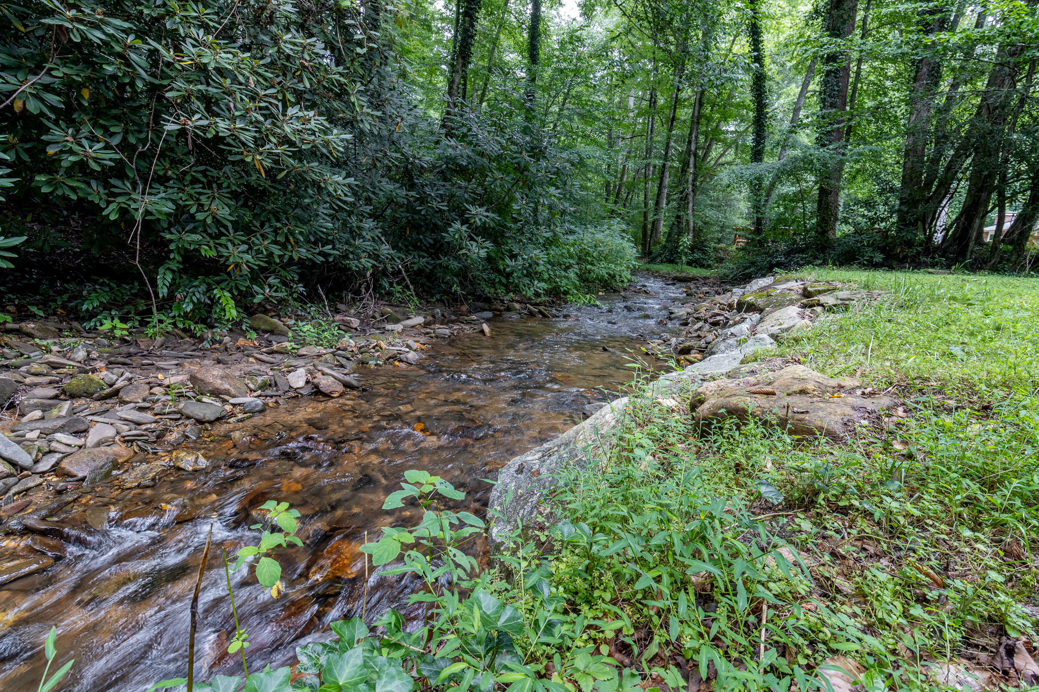 493 Kings Creek Rd – photo 4