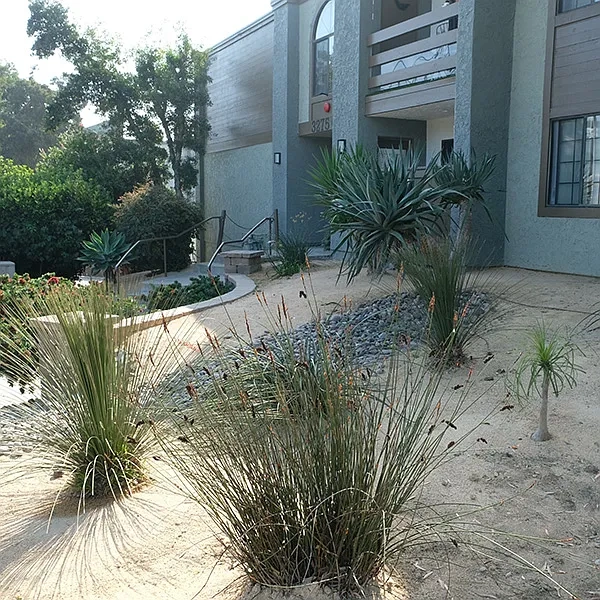 Golden Glen – photo 2