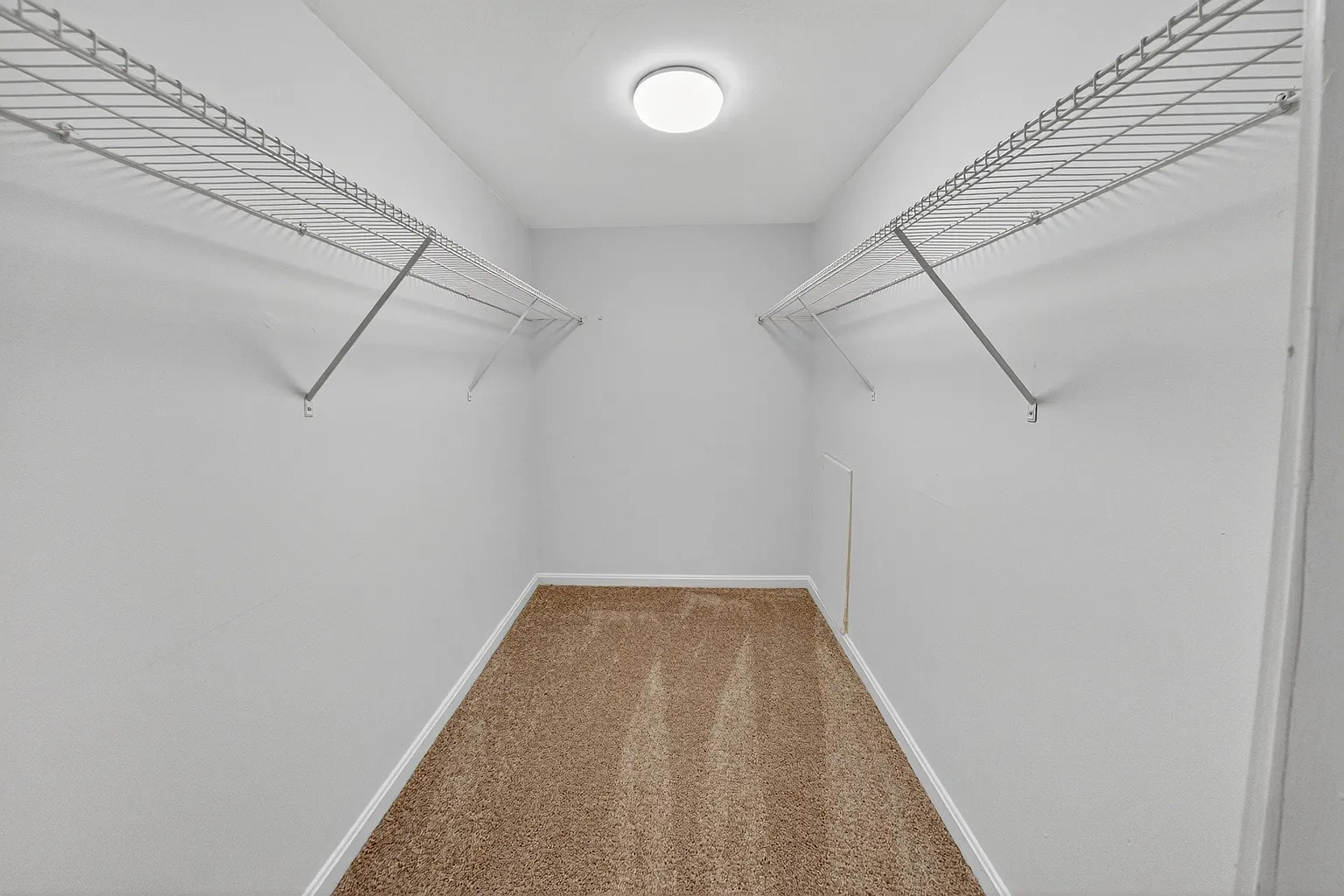 The Forest Apartments – photo 1