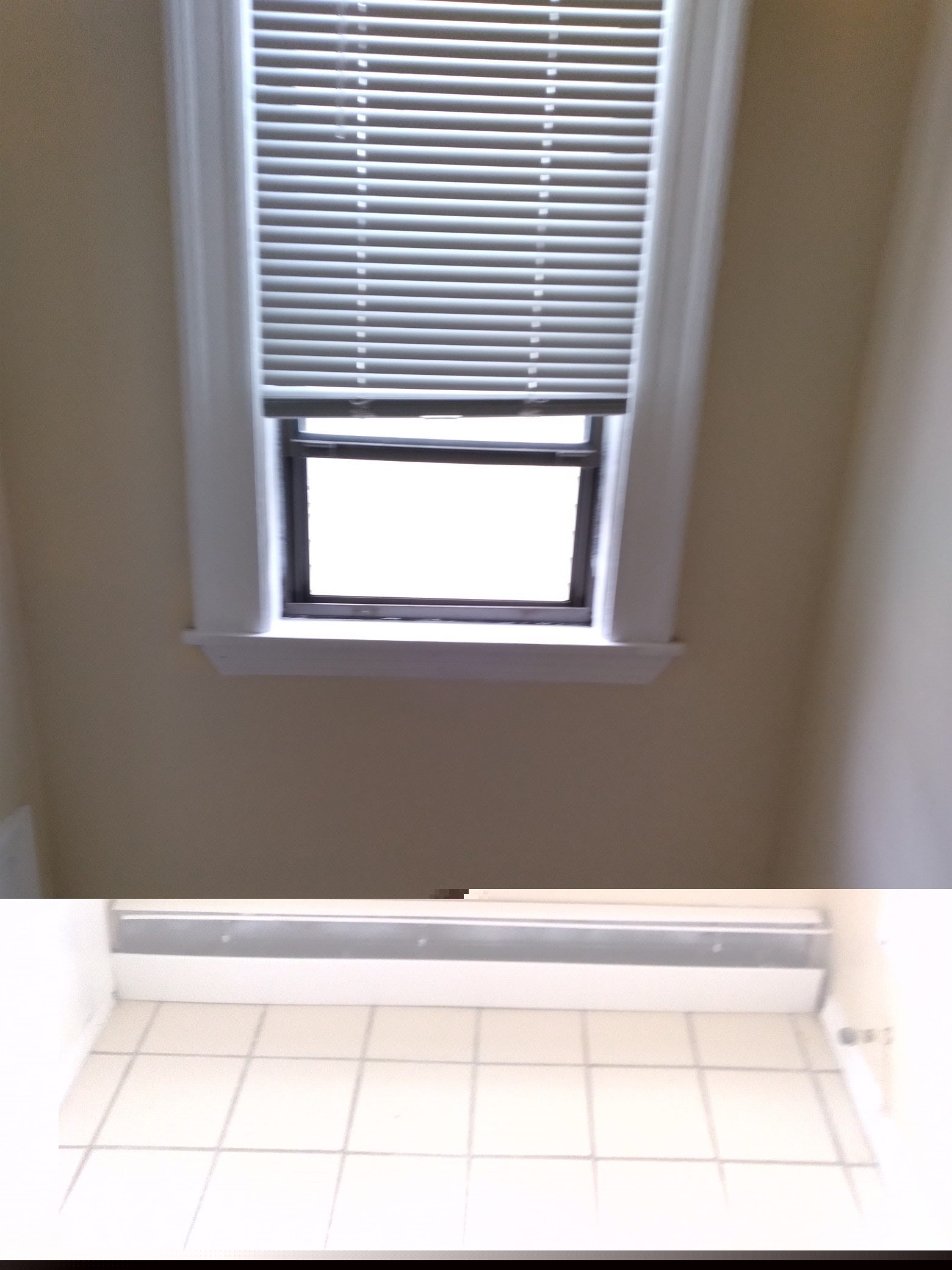 10 Norton St unit 3 – photo 5