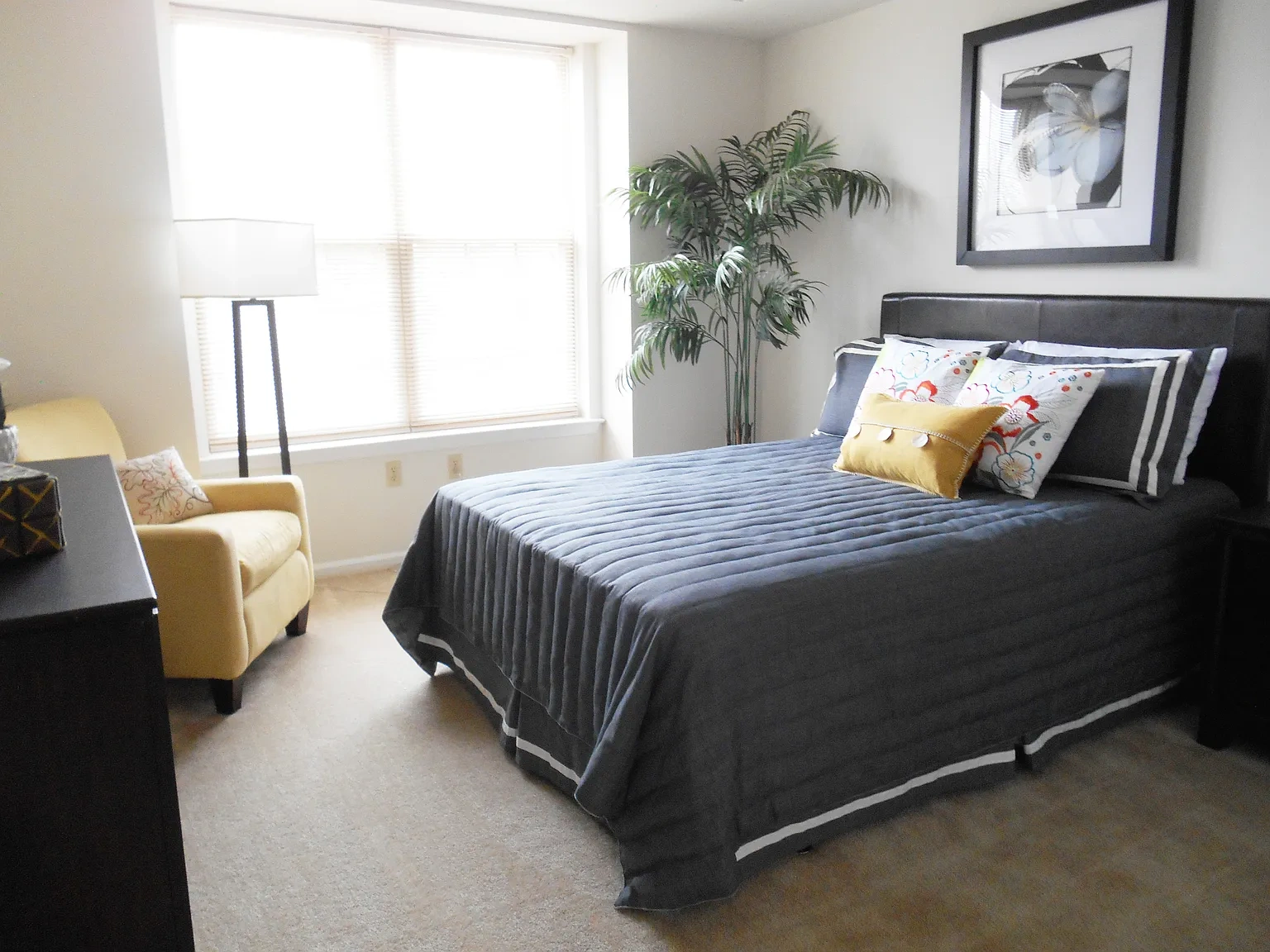 Amberley at Blue Bell Apartments – photo 4