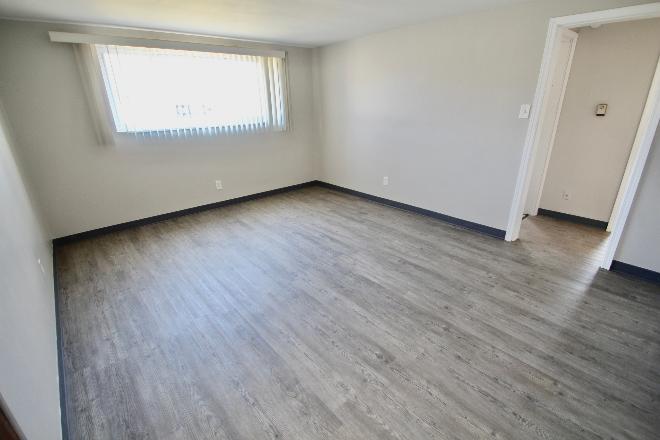 461 Liekar Ln – photo 4