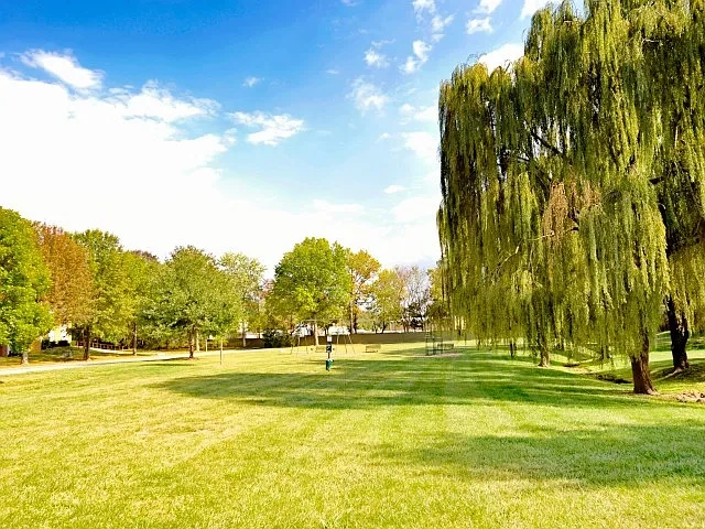Belmont Park – photo 1