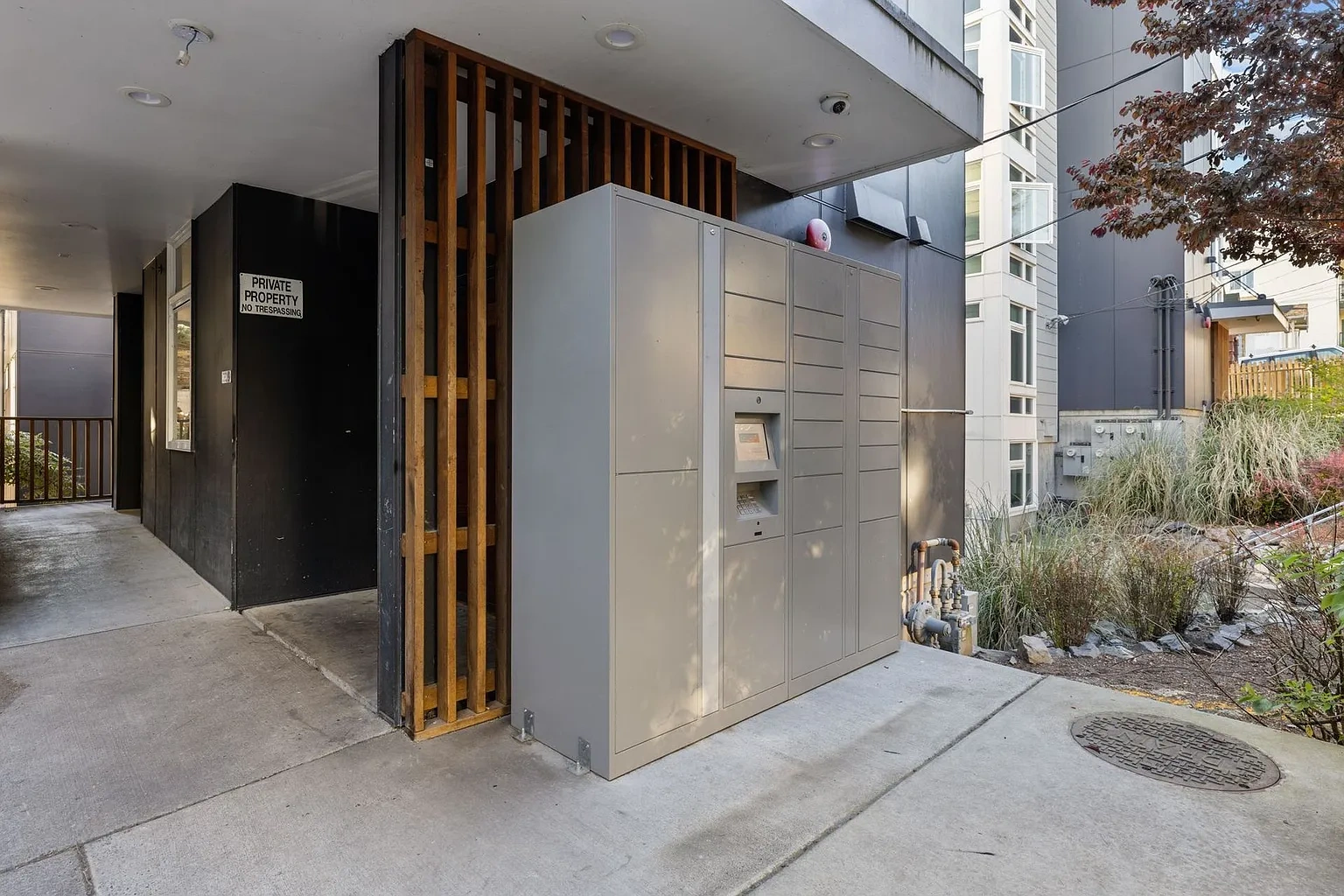 Horizon Phinney – photo 5